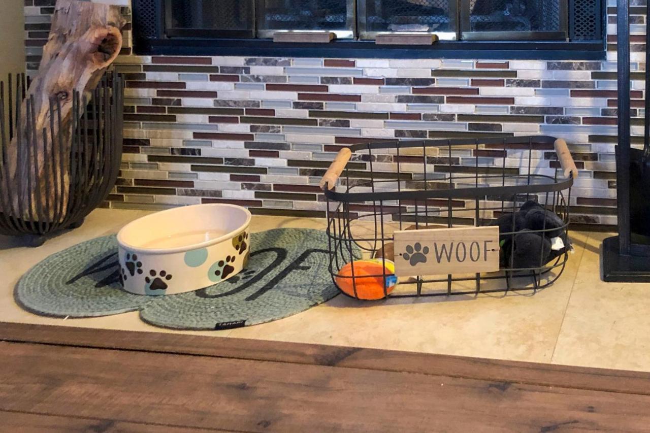 Apartament Borrego Springs Retreat With Grill And Patio! Zewnętrze zdjęcie